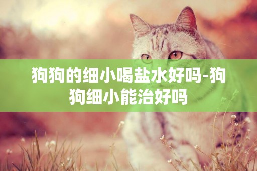 狗狗的細小喝鹽水好嗎-狗狗細小能治好嗎