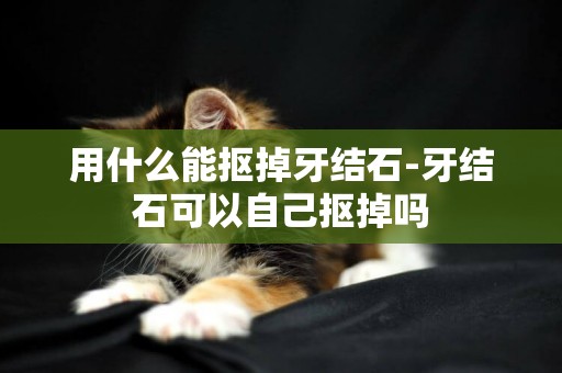 用什么能摳掉牙結石-牙結石可以自己摳掉嗎