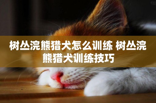 樹叢浣熊獵犬怎么訓練 樹叢浣熊獵犬訓練技巧