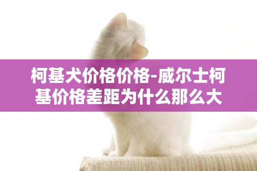 柯基犬價格價格-威爾士柯基價格差距為什么那么大