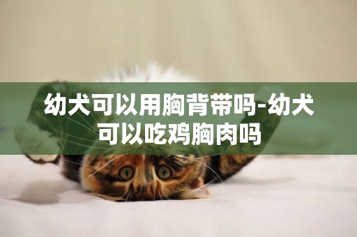 幼犬可以用胸背帶嗎-幼犬可以吃雞胸肉嗎