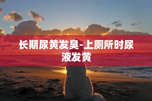 長期尿黃發臭-上廁所時尿液發黃