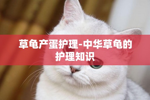 草龜產蛋護理-中華草龜的護理知識