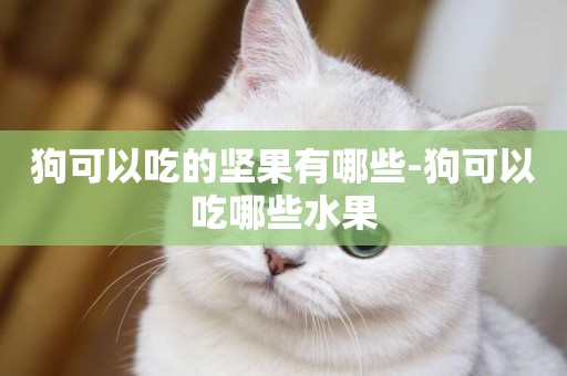 狗可以吃的堅果有哪些-狗可以吃哪些水果