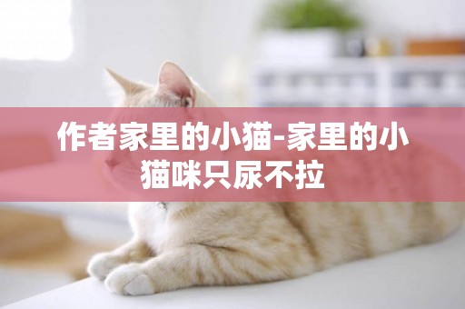 作者家里的小貓-家里的小貓咪只尿不拉