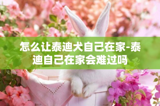 怎么讓泰迪犬自己在家-泰迪自己在家會難過嗎
