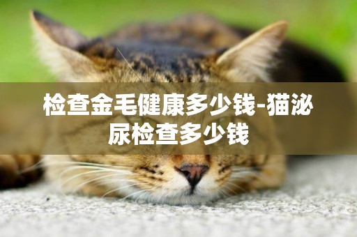 檢查金毛健康多少錢-貓泌尿檢查多少錢