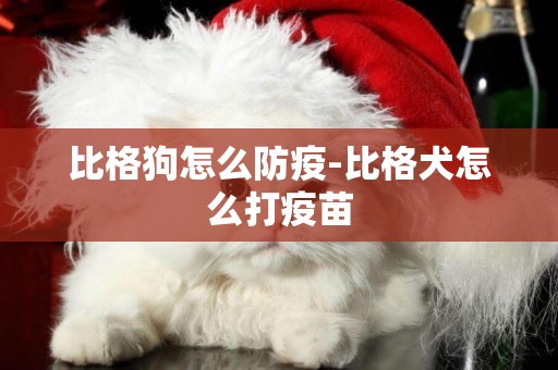 比格狗怎么防疫-比格犬怎么打疫苗