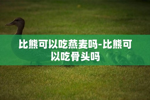 比熊可以吃燕麥嗎-比熊可以吃骨頭嗎