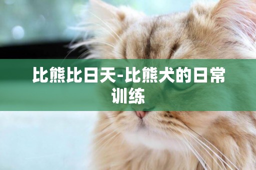 比熊比日天-比熊犬的日常訓練