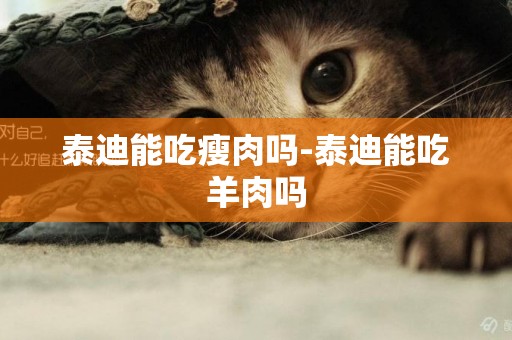泰迪能吃瘦肉嗎-泰迪能吃羊肉嗎