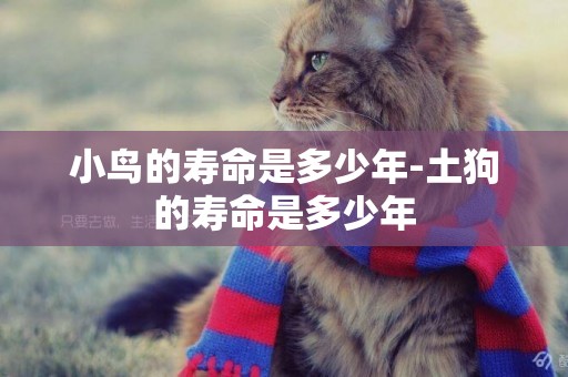 小鳥的壽命是多少年-土狗的壽命是多少年