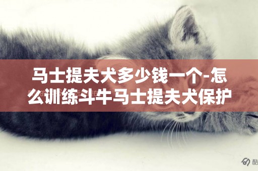 馬士提夫犬多少錢一個-怎么訓練斗牛馬士提夫犬保護主人