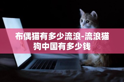布偶貓有多少流浪-流浪貓狗中國有多少錢