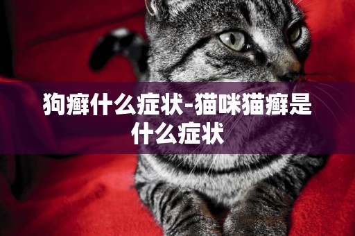 狗癬什么癥狀-貓咪貓癬是什么癥狀