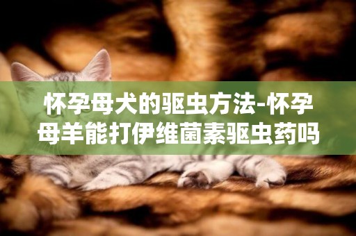 懷孕母犬的驅蟲方法-懷孕母羊能打伊維菌素驅蟲藥嗎