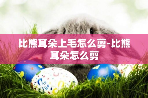 比熊耳朵上毛怎么剪-比熊耳朵怎么剪