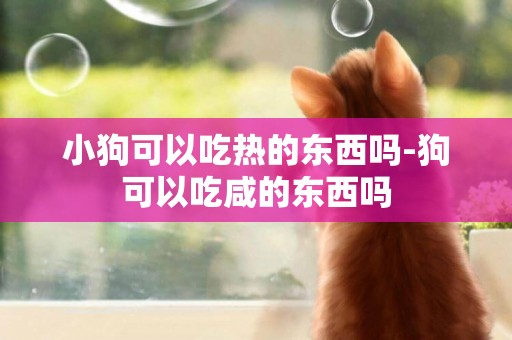 小狗可以吃熱的東西嗎-狗可以吃咸的東西嗎
