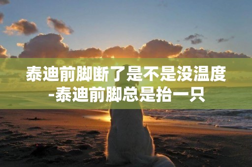 泰迪前腳斷了是不是沒溫度-泰迪前腳總是抬一只