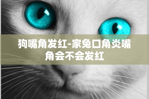 狗嘴角發紅-家兔口角炎嘴角會不會發紅