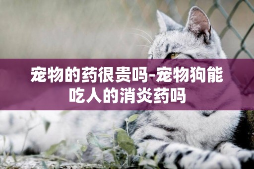 寵物的藥很貴嗎-寵物狗能吃人的消炎藥嗎
