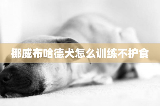 挪威布哈德犬怎么訓練不護食