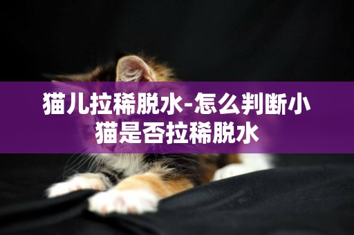 貓兒拉稀脫水-怎么判斷小貓是否拉稀脫水
