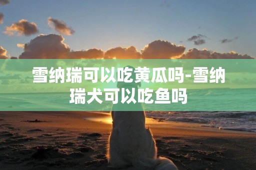 雪納瑞可以吃黃瓜嗎-雪納瑞犬可以吃魚嗎