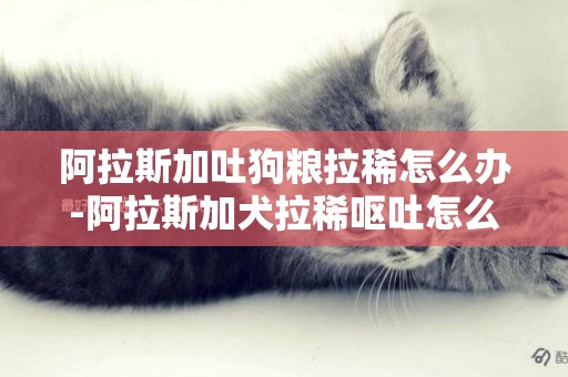 阿拉斯加吐狗糧拉稀怎么辦-阿拉斯加犬拉稀嘔吐怎么辦