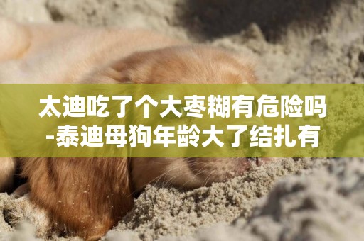 太迪吃了個大棗糊有危險嗎-泰迪母狗年齡大了結扎有危險嗎