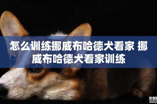 怎么訓練挪威布哈德犬看家 挪威布哈德犬看家訓練
