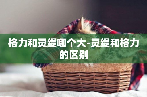 格力和靈緹哪個大-靈緹和格力的區別