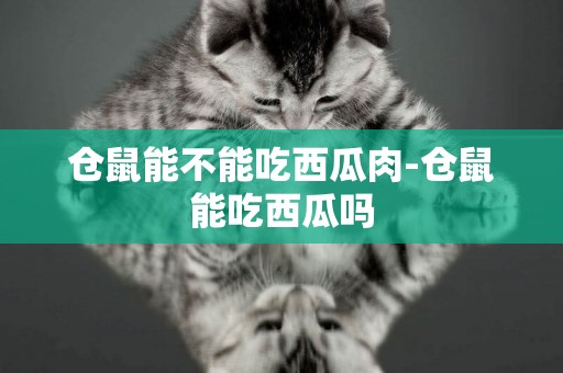 倉鼠能不能吃西瓜肉-倉鼠能吃西瓜嗎