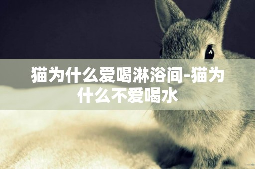 貓為什么愛喝淋浴間-貓為什么不愛喝水
