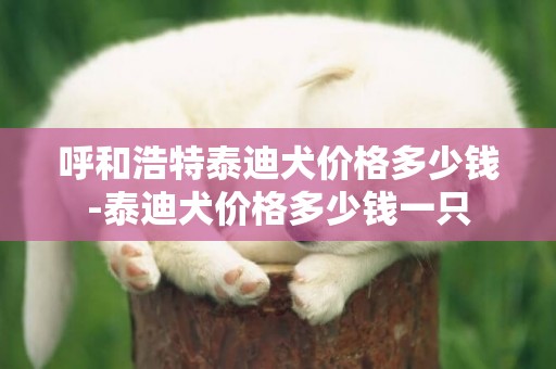 呼和浩特泰迪犬價格多少錢-泰迪犬價格多少錢一只