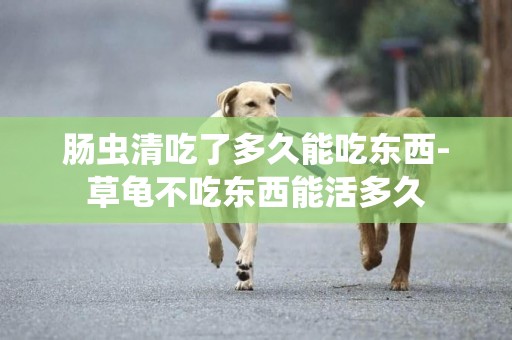 腸蟲清吃了多久能吃東西-草龜不吃東西能活多久