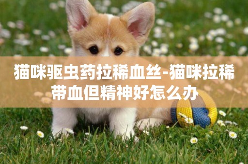 貓咪驅蟲藥拉稀血絲-貓咪拉稀帶血但精神好怎么辦