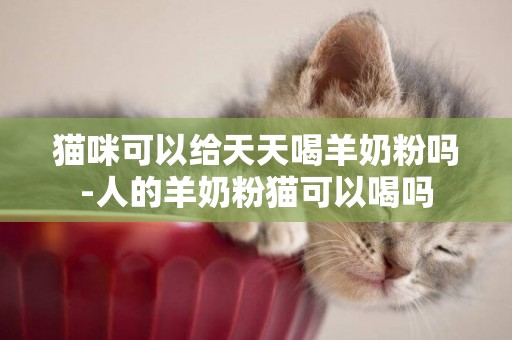 貓咪可以給天天喝羊奶粉嗎-人的羊奶粉貓可以喝嗎
