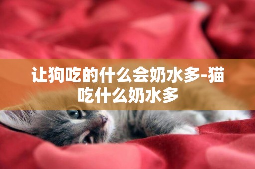 讓狗吃的什么會奶水多-貓吃什么奶水多