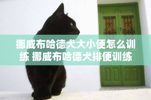 挪威布哈德犬大小便怎么訓練 挪威布哈德犬排便訓練方法