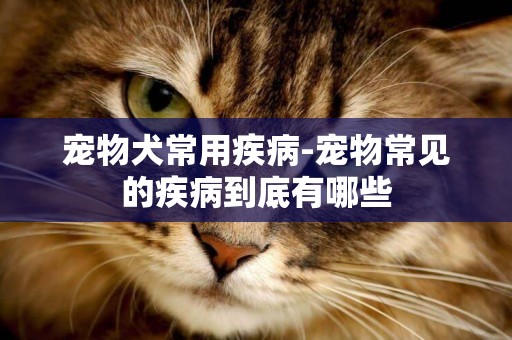 寵物犬常用疾病-寵物常見的疾病到底有哪些