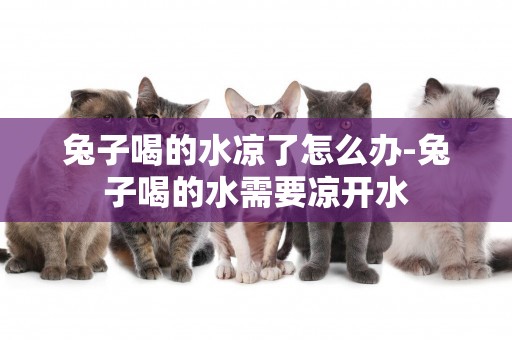 兔子喝的水涼了怎么辦-兔子喝的水需要涼開水