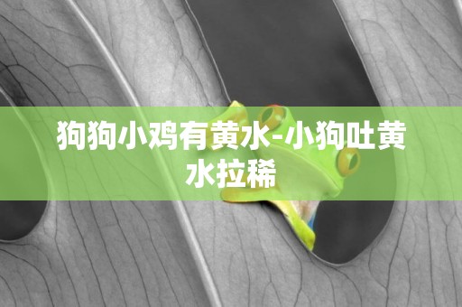 狗狗小雞有黃水-小狗吐黃水拉稀