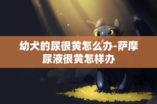 幼犬的尿很黃怎么辦-薩摩尿液很黃怎樣辦