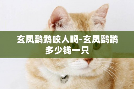 玄鳳鸚鵡咬人嗎-玄鳳鸚鵡多少錢一只