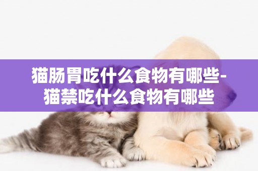 貓腸胃吃什么食物有哪些-貓禁吃什么食物有哪些