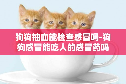 狗狗抽血能檢查感冒嗎-狗狗感冒能吃人的感冒藥嗎