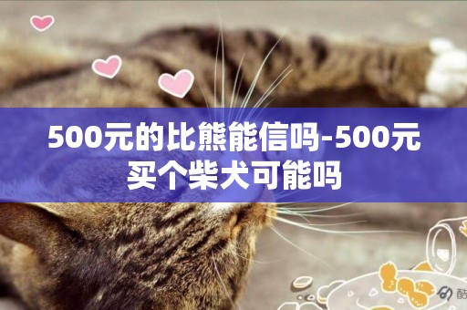 500元的比熊能信嗎-500元買個柴犬可能嗎
