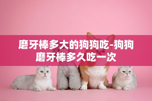 磨牙棒多大的狗狗吃-狗狗磨牙棒多久吃一次