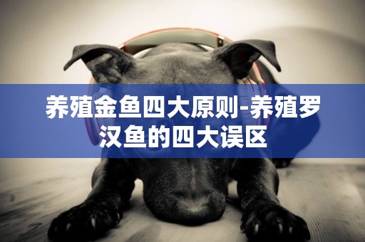 養殖金魚四大原則-養殖羅漢魚的四大誤區
